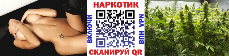 Как найти наркотики Белая Холуница Каннабис  Метамфетамин  ГАШИШ  Меф мяу мяу 
