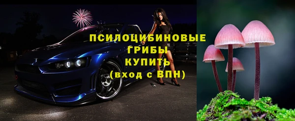бошки Осинники
