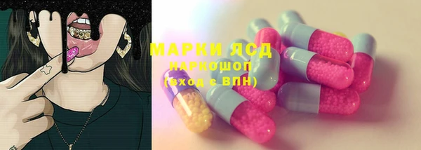мяу мяу мука Аша