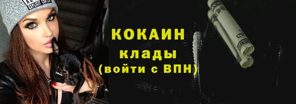 тгк Няндома