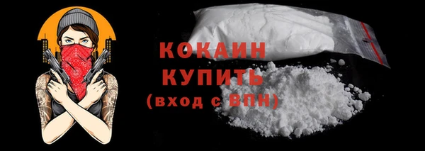 тгк Няндома