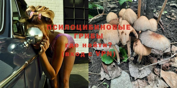 бошки Осинники