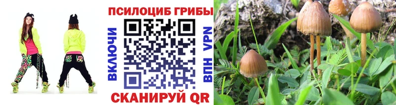 Псилоцибиновые грибы прущие грибы  блэк спрут онион  Белая Холуница  хочу  